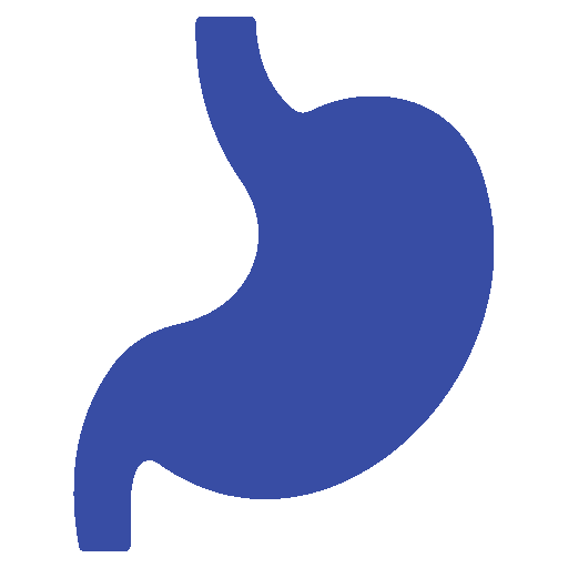 أيقونة تخصص باطنة